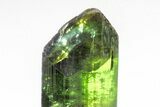 Gemmy, Sharply Terminated Green Elbaite Tourmaline - Brazil #209803-4